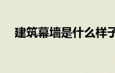建筑幕墙是什么样子（建筑幕墙是什么）