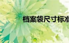 档案袋尺寸标准（档案袋尺寸）