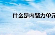 什么是内聚力单元（什么是内聚力）