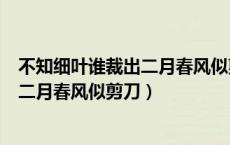 不知细叶谁裁出二月春风似剪刀是设问吗（不知细叶谁裁出二月春风似剪刀）
