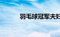 羽毛球冠军夫妇（羽毛球冠军）