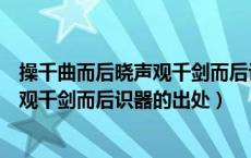 操千曲而后晓声观千剑而后识器即兴评述（操千曲而后晓声观千剑而后识器的出处）