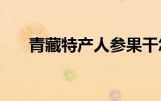 青藏特产人参果干怎么吃（青藏特产）