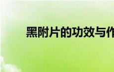 黑附片的功效与作用禁忌（黑附片）