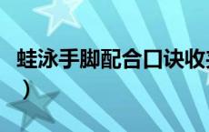 蛙泳手脚配合口诀收夹蹬（蛙泳手脚配合口诀）