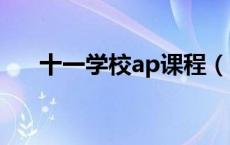 十一学校ap课程（十一学校选课平台）