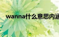 wanna什么意思内涵（wanna什么意思）