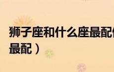 狮子座和什么座最配做朋友（狮子座和什么座最配）