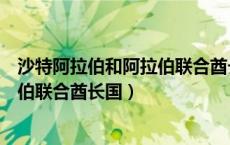 沙特阿拉伯和阿拉伯联合酋长国的关系（沙特阿拉伯和阿拉伯联合酋长国）