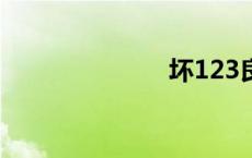 坏123良心导航
