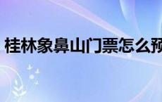 桂林象鼻山门票怎么预约（桂林象鼻山门票）