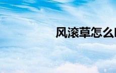风滚草怎么吃（风滚草）