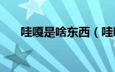 哇嘎是啥东西（哇嘎电影生活片高清）
