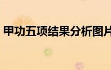甲功五项结果分析图片（甲功五项结果分析）
