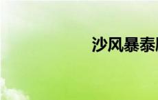 沙风暴泰剧（沙风）