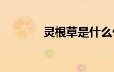 灵根草是什么任务（灵根草）