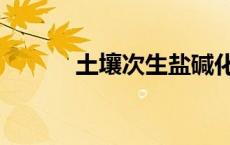 土壤次生盐碱化（次生盐碱化）