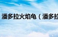 潘多拉火焰龟（潘多拉的骑士们之火焰少女）