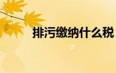 排污缴纳什么税（什么是排污税）