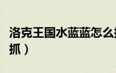 洛克王国水蓝蓝怎么抓（洛克王国水蓝蓝在哪抓）
