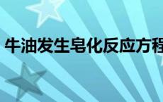牛油发生皂化反应方程式（皂化反应方程式）