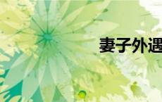 妻子外遇出轨电影