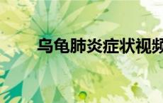 乌龟肺炎症状视频（乌龟肺炎症状）