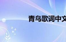 青鸟歌词中文（青鸟歌词）