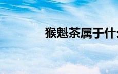 猴魁茶属于什么茶（猴魁茶）