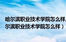 哈尔滨职业技术学院怎么样儿子学校以后怎么怎么上班（哈尔滨职业技术学院怎么样）
