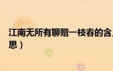 江南无所有聊赠一枝春的含义（江南无所有聊赠一枝春的意思）