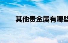 其他贵金属有哪些（贵金属有哪些）