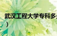 武汉工程大学专科多少分（武汉工程大学专科）