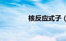 核反应式子（核子反应炉）