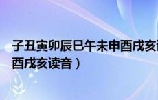 子丑寅卯辰巳午未申酉戌亥读音笔顺（子丑寅卯辰巳午未申酉戌亥读音）