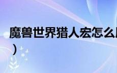 魔兽世界猎人宏怎么用（魔兽猎人宏命令大全）
