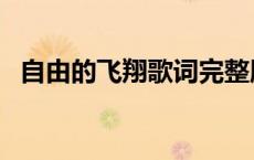 自由的飞翔歌词完整版（自由的飞翔歌词）