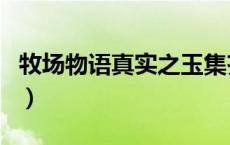 牧场物语真实之玉集齐后（牧场物语真实之玉）