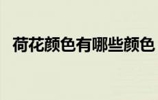 荷花颜色有哪些颜色（粉色系有哪些颜色）