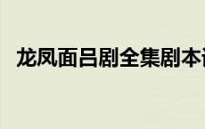 龙凤面吕剧全集剧本词（龙凤面吕剧全集）