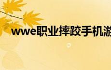wwe职业摔跤手机游戏（wwe职业摔跤）