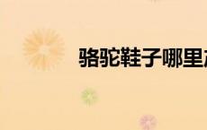 骆驼鞋子哪里产的（骆驼鞋）