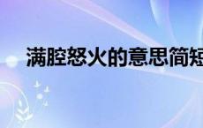 满腔怒火的意思简短（满腔怒火的意思）