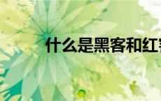 什么是黑客和红客（什么是黑客）