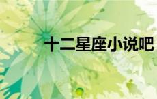十二星座小说吧（十二星座小说）