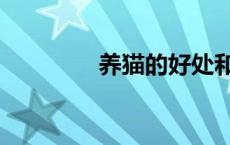 养猫的好处和坏处（养猫）