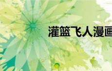 灌篮飞人漫画（灌篮飞人）