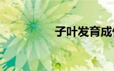 子叶发育成什么（子叶）