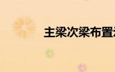 主梁次梁布置示意图（主梁）
