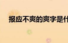 报应不爽的爽字是什么意思（报应不爽）